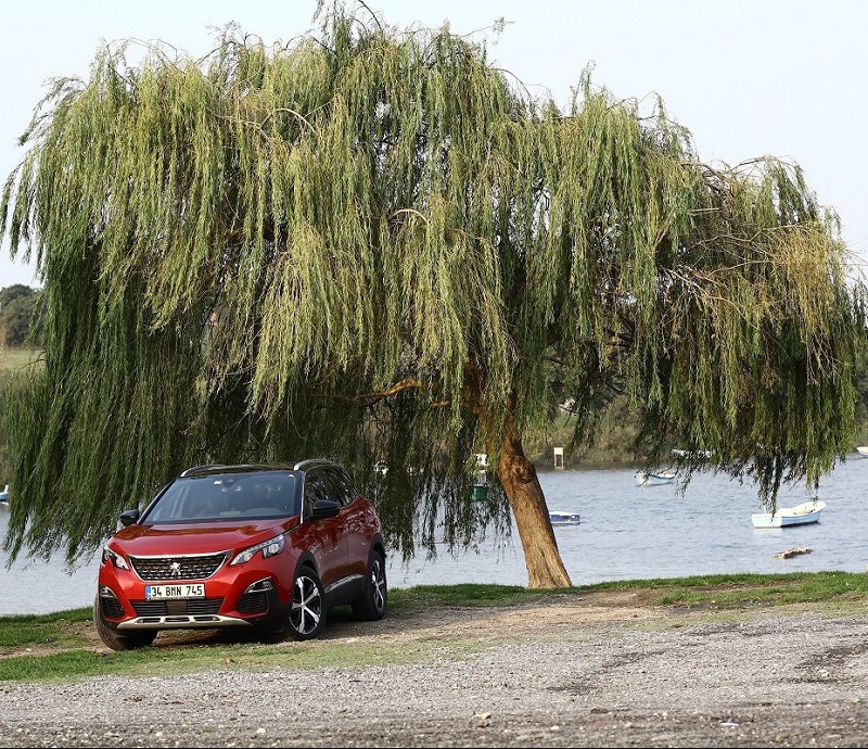 Peugeot Kampanyaları Haziran