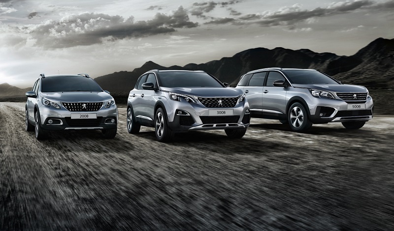 Peugeot Türkiye 2019 Pazar Payı