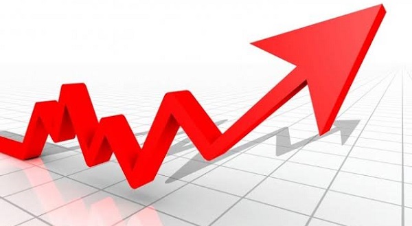 Türkiye Otomotiv Pazarı Satışları 2019.