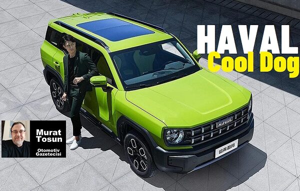 2024 Haval Türkiye Cool Dog