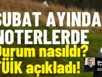 2024 ikinci el araba piyasası tablosu